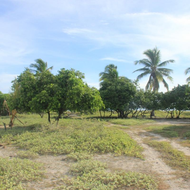 Terrain – villa - maison – propriété – à vendre – à louer – location - location longue durée – location à l’année – investissement – achat – vente – plage – bord de mer - sable blanc – Indonésie – Roti island – Bali – chambre – notaire – consultant - juridique – création - société – administration – voyage – entreprise – hôtel – commerce – restaurant – projet – visa – permis – travail – retraite – informations – découverte – aventure – produits – naturels – spa – salon – coiffure – réflexologie – savon – shampoing – anti-moustique – tourisme – plaisir – nature – surf – plongée – exploration – exotique – exotisme – massage – traditionnel – huile de massage – coucher de soleil – photos – galerie – soin de beauté – pédicure – manucure – agent immobilier – professionnel-Land - villa - house - property - for sale - rent - rental - leasing - rent annually - investment - purchase - sale - beach - sea - white sand - Indonesia - Rote island - Bali - bedroom - notary - consultant - legal - creation - company - administration - travel - business - hotel - shop - restaurant - project - visa - permit - work - retirement - information - discovery - adventure - products - natural - spa - lounge - hairdresser - reflexology - soap - shampoo – anti-mosquito – pleasure – nature – surf – diving – exploration - exotic - exotism - massage - traditional - massage oil - sunset - pictures - gallery - beauty treatment - pedicure – manicure – real estate agent – professional-Tanah - villa - rumah - properti - Dijual - disewakan - dikontrakan - menyewa per tahun - investasi - pembelian - penjualan - pantai - laut - pasir putih - Indonesia - pulau Roti - Bali - bedroom - notaris - konsultan - hukum - penciptaan - wisata - - bisnis - Hotel - bisnis - restoran - proyek - visa - izin - pekerjaan - pensiun - informasi - penemuan - petualangan - produk - spa - - alam ruang duduk - penata rambut - reflexology masyarakat - administrasi - sabun - shampoo – anti-nyamuk - Pariwisata - menyenangkan - semacam - surfing - diving – eksplorasi - eksotik - eksotis - pijat - tradisional - pijat minyak - sunset - Foto - galeri - perawatan kecantikan - pedicure – manicure – properti agen - Profesional